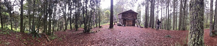 Bosque sagrado de San José del Pacifico 🍄